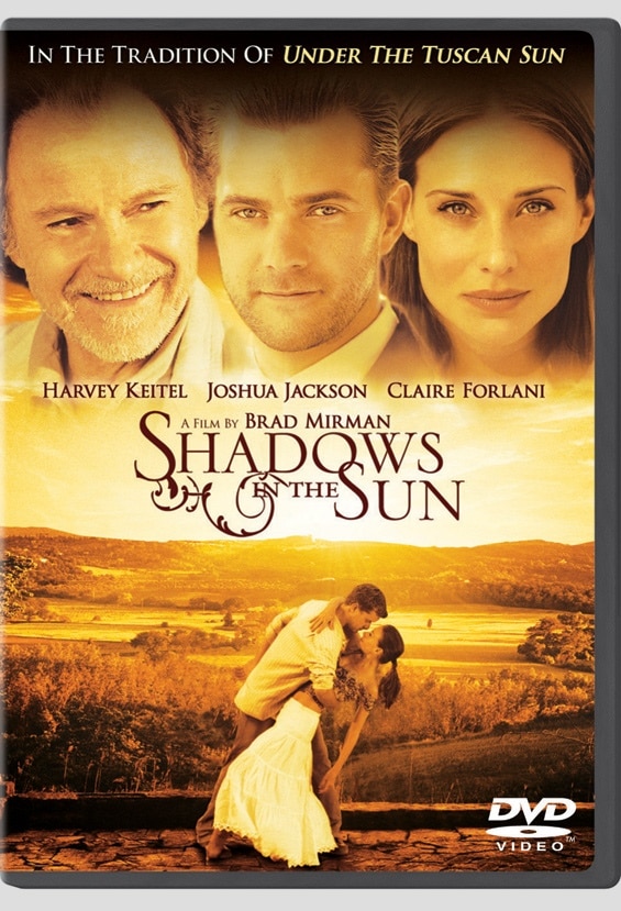 shadows-in-the-sun shadows in the sun